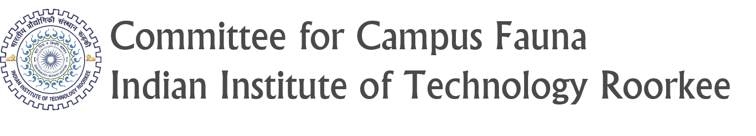 Committee for Campus Fauna